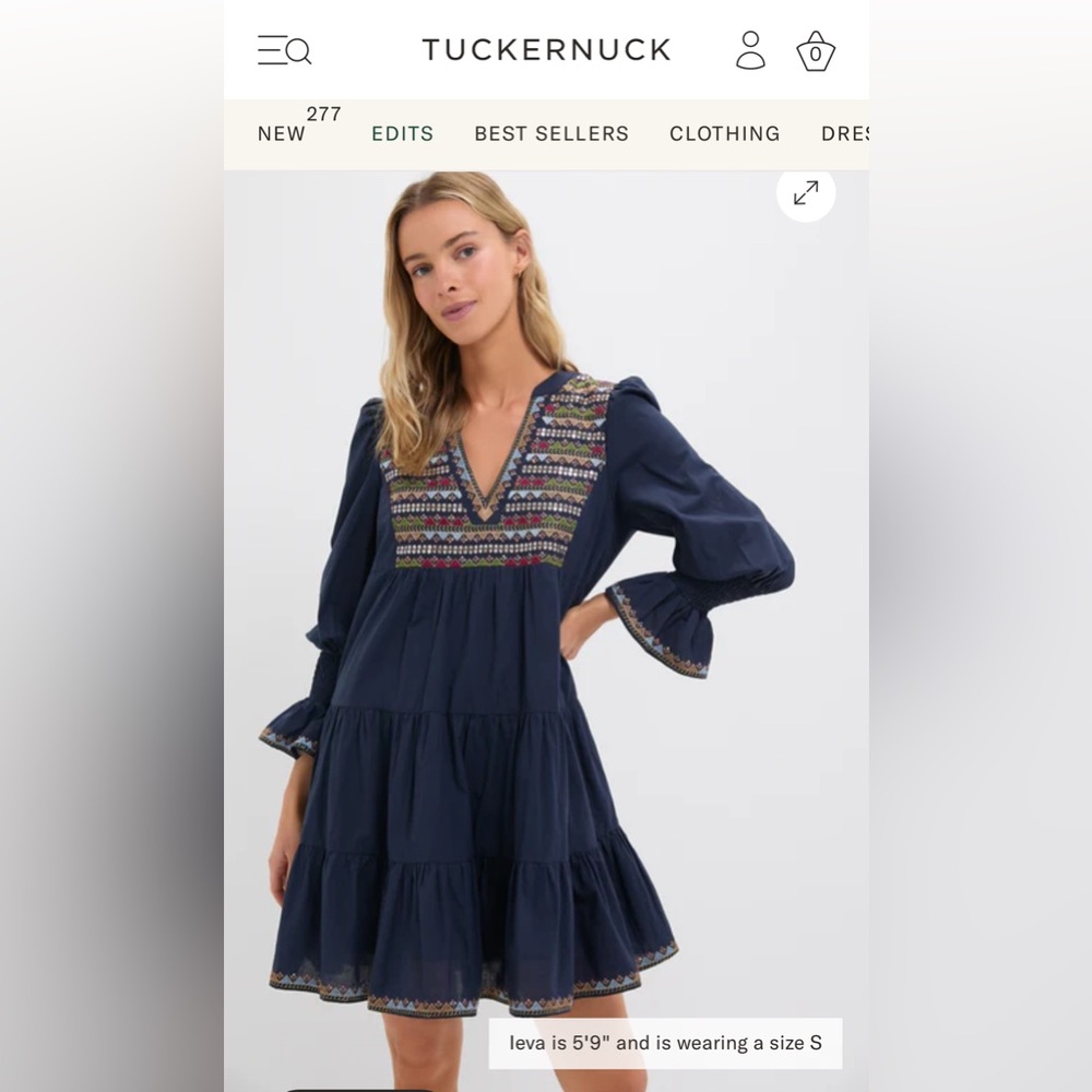 Navy Embroidered Sequin Dress